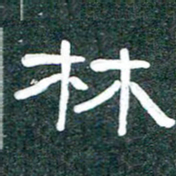 魏建国林书法图片