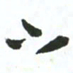许邦志下书法图片