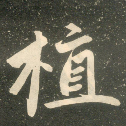 赵孟頫植书法图片