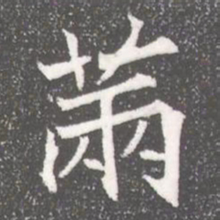 䓣书法图片