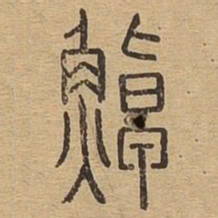 罩书法图片