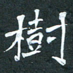 周擎树书法图片