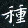 田智勇种书法图片