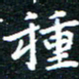 田智勇种书法图片