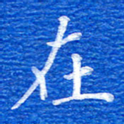 张彦斌在书法图片