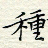 贺建波种书法图片
