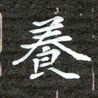 徐光虎养书法图片