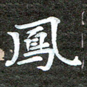 徐光虎凤书法图片