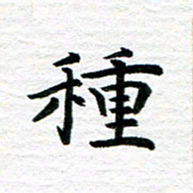 秦连柏种书法图片