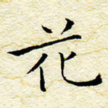 卓祖毅花书法图片