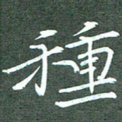 周浩忠种书法图片
