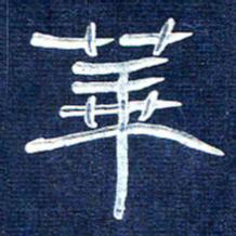 张林华华书法图片