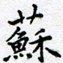 庄婷婷苏书法图片