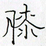 吕晓菲膝书法图片