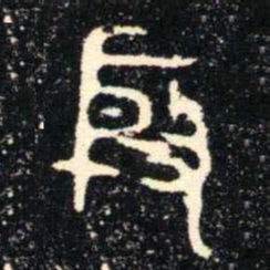 金文殷书法图片