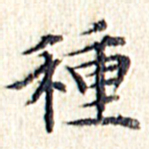 文征明种书法图片
