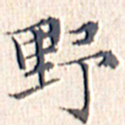 文征明野书法图片