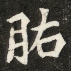 肱书法图片