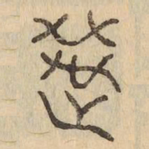 選书法图片