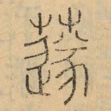襚书法图片