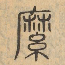 縻书法图片
