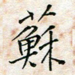 陈学光苏书法图片