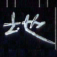 张林华地书法图片