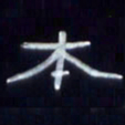 张林华本书法图片