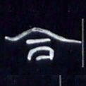 张林华合书法图片