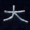 张林华大书法图片