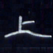 张林华上书法图片
