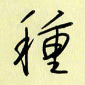 刘传培种书法图片