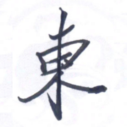 张毅君东书法图片