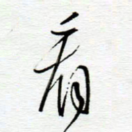 陈舟波看书法图片