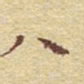 李大庆八书法图片