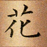 冯文涛花书法图片