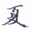 张毅君夏书法图片