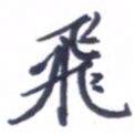 张毅君飞书法图片