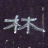 张林华林书法图片
