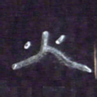 张林华火书法图片