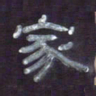 张林华家书法图片