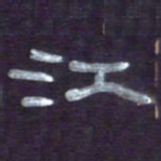 张林华江书法图片