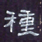 张林华种书法图片