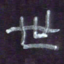 张林华世书法图片