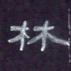 张林华林书法图片