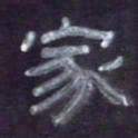 张林华家书法图片