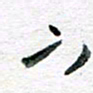 孙文刚下书法图片
