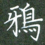 张春丽鸦书法图片