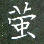 张春丽萤书法图片