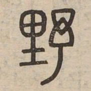 野书法图片
